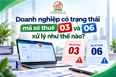 Doanh nghiệp có trạng thái mã số thuế 03 và 06 xử lý như thế nào?